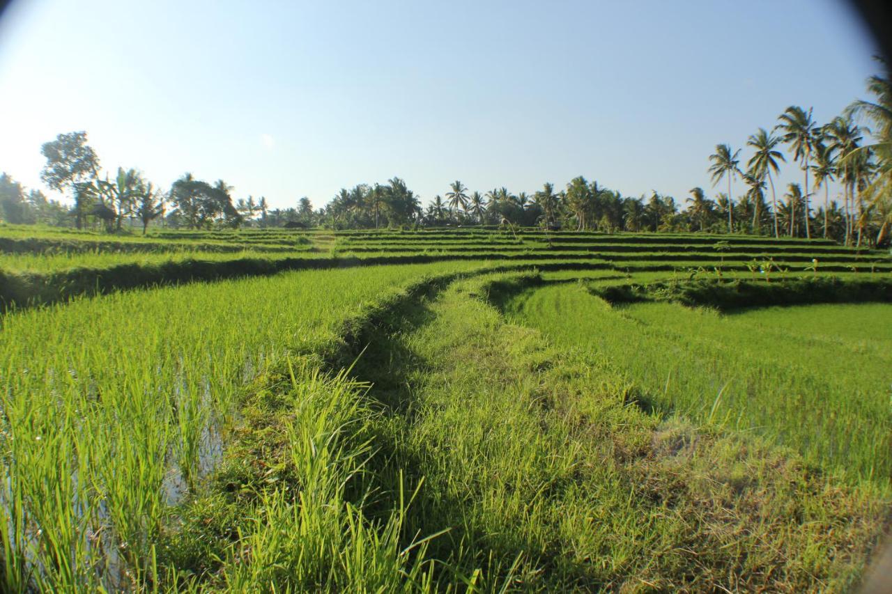 Telagamas Guest House Banjarangkan ภายนอก รูปภาพ