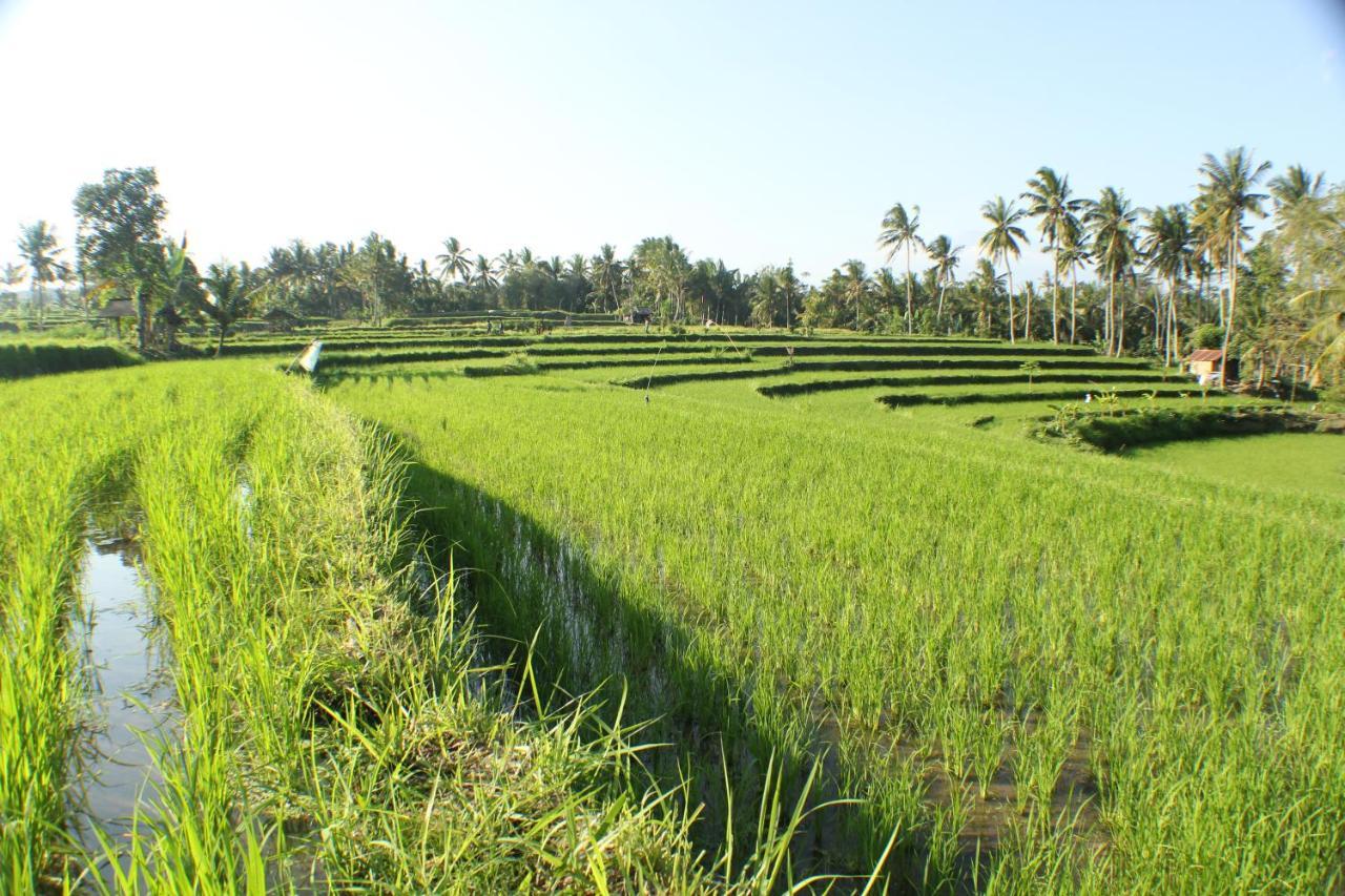 Telagamas Guest House Banjarangkan ภายนอก รูปภาพ