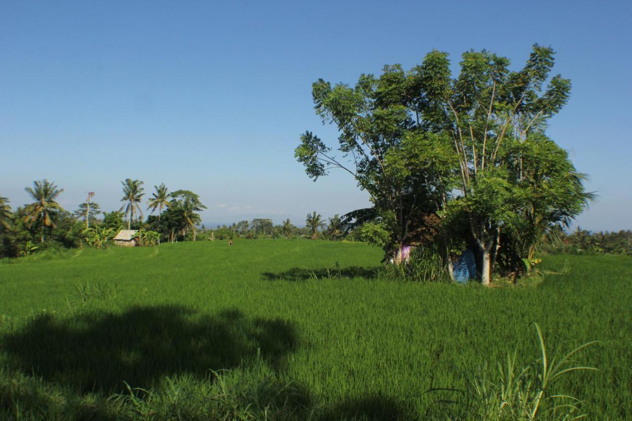 Telagamas Guest House Banjarangkan ภายนอก รูปภาพ