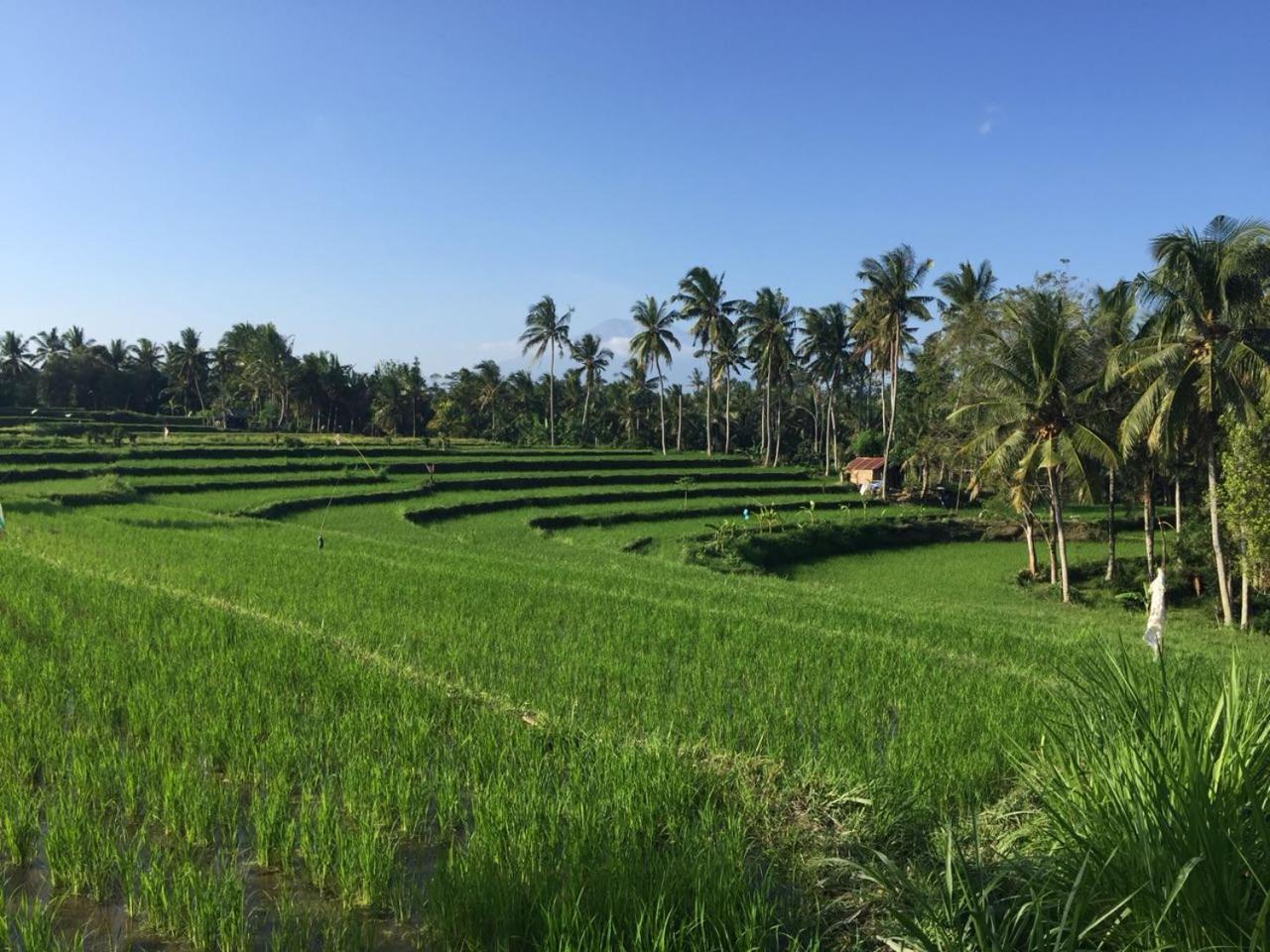 Telagamas Guest House Banjarangkan ภายนอก รูปภาพ